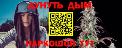 скорость Дубна