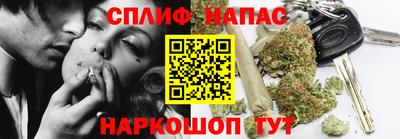 скорость Дубна