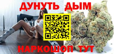 скорость Дубна