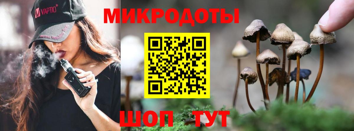 магазин продажи   Псилоцибиновые грибы Psilocybine cubensis  Галлюциногенные грибы Psilocybine cubensis  Вход с VPN  Назрань 